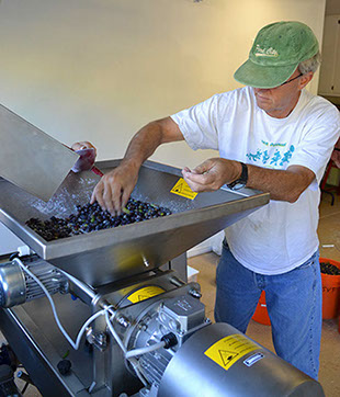 Farquar Family Winery's Toscana Enologica Mori olive mill at its property in Ramona, East County San Diego