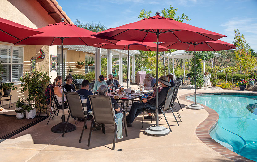 Farquar Family Winery's olive orchard and rolling Ramona hills in East County San Diego