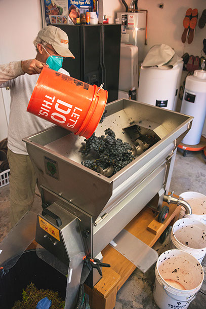 Farquar Family Winery's olive orchard and rolling Ramona hills in East County San Diego