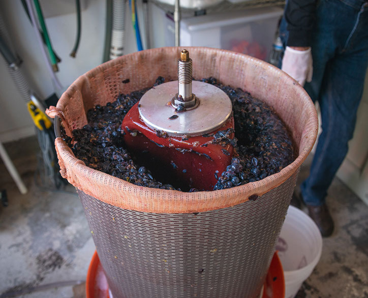 Farquar Family Winery's olive orchard and rolling Ramona hills in East County San Diego