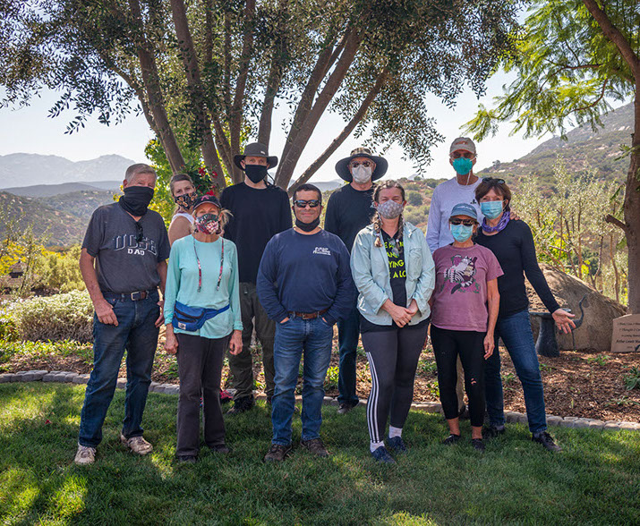 Farquar Family Winery's olive orchard and rolling Ramona hills in East County San Diego