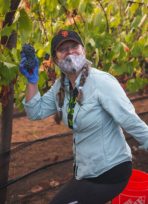 Farquar Family Winery's olive orchard and rolling Ramona hills in East County San Diego